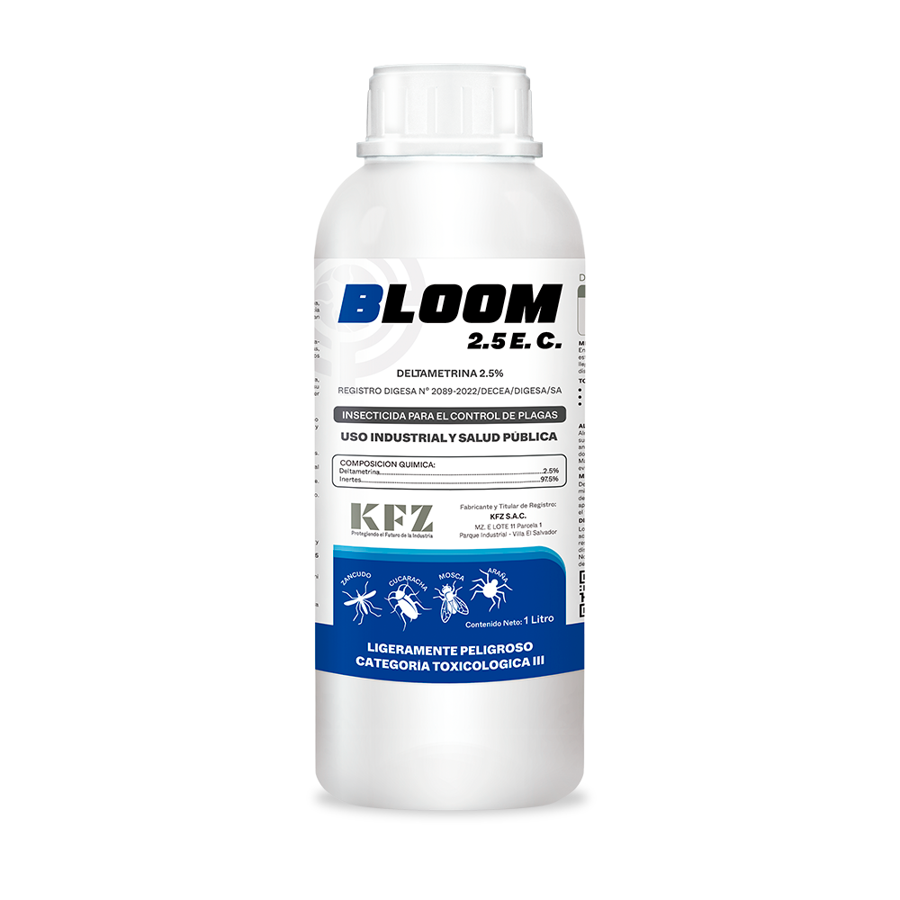 BLOOM 2.5 E.C.