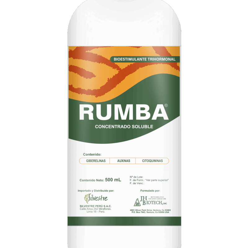 Rumba