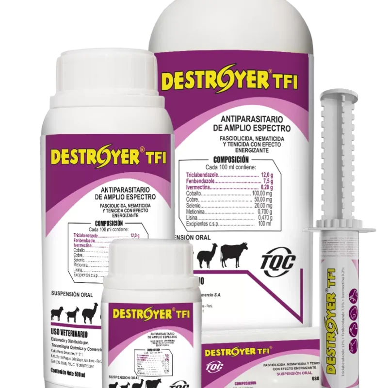 Destroyer TFI