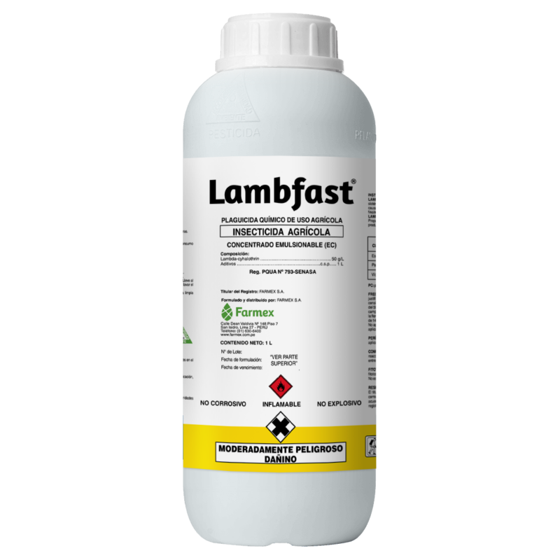 Lambfast